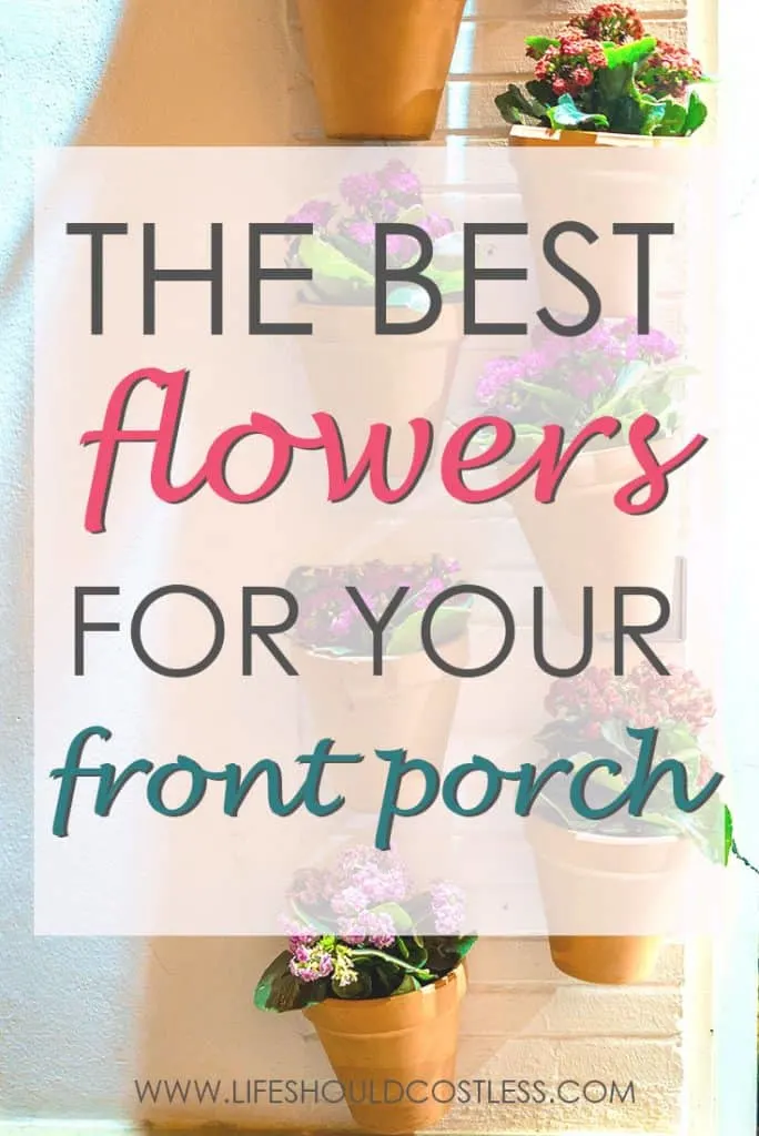 The ten best flowers that will thrive on a covered porch. lifeshouldcostless.com