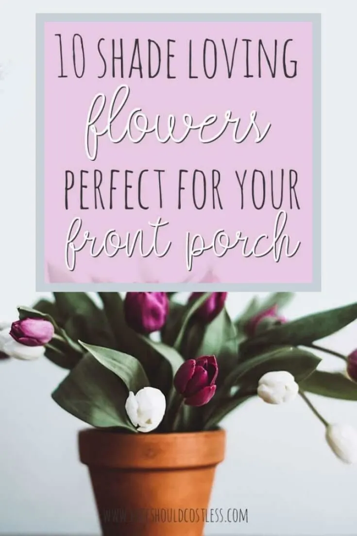 10 Best Flowers For Your Front Porch