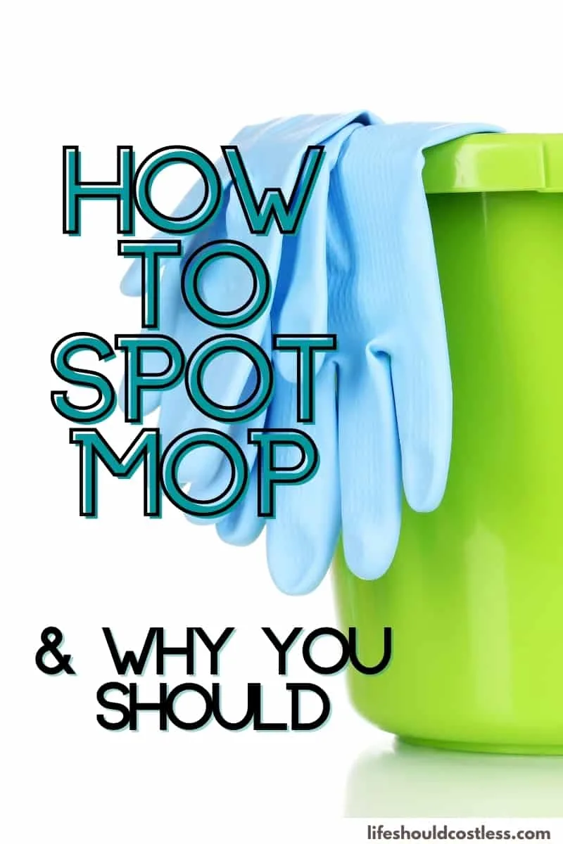 what is spot mopping cleaning