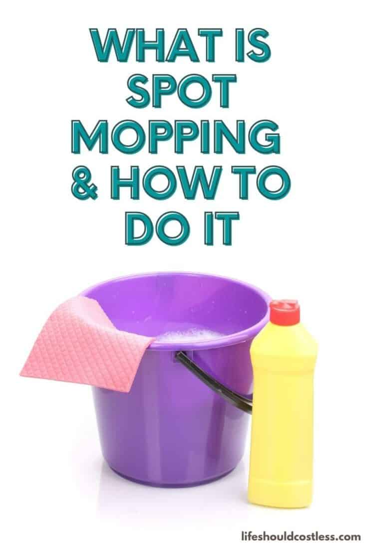 what is spot mopping