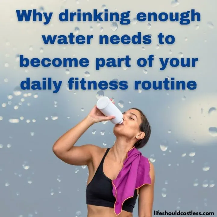 https://lifeshouldcostless.com/wp-content/uploads/2021/12/Why-drinking-enough-water-needs-to-become-part-of-your-daily-fitness-routine-800-x-800-px-1-720x720.jpg.webp