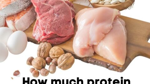Is a high protein diet good for weight loss?