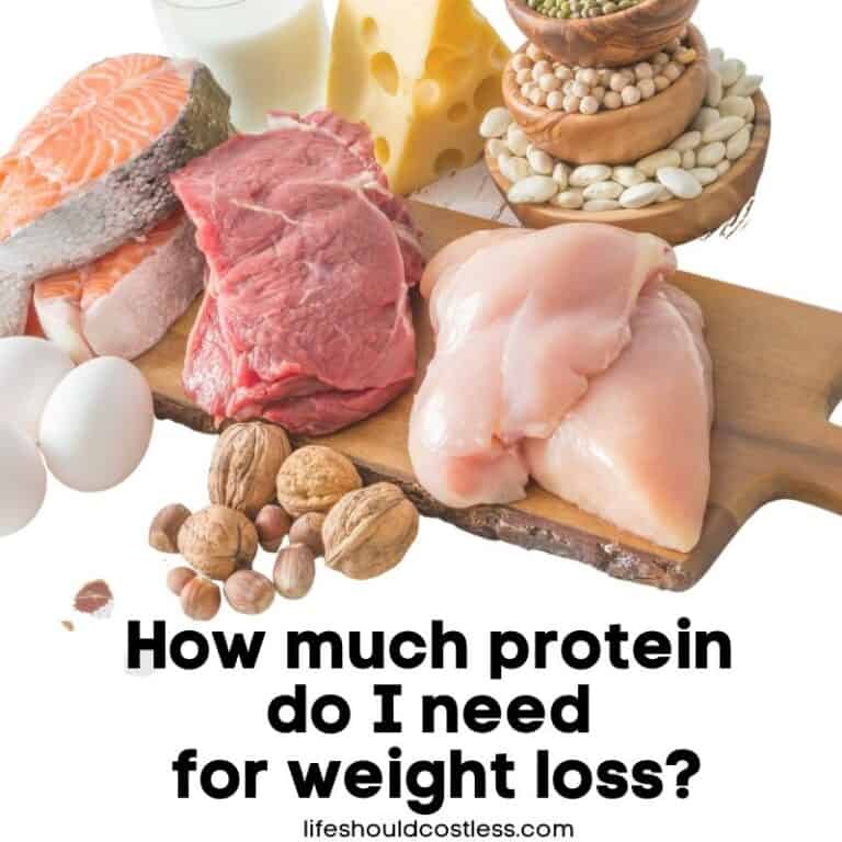 How much protein do I need for weight loss? Life Should Cost Less