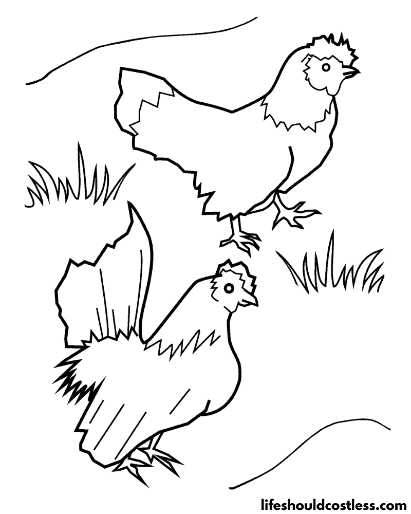 Chicken Coloring Sheet Example