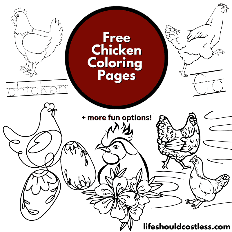 Chicken Pictures To Color