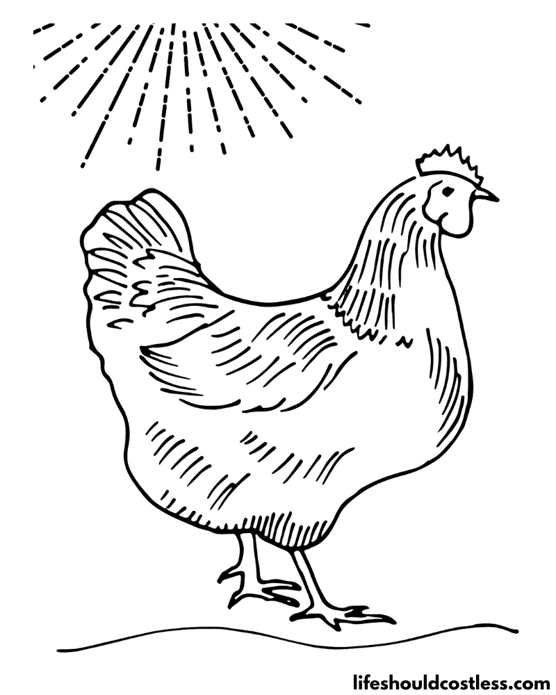 Chicken Printables Example