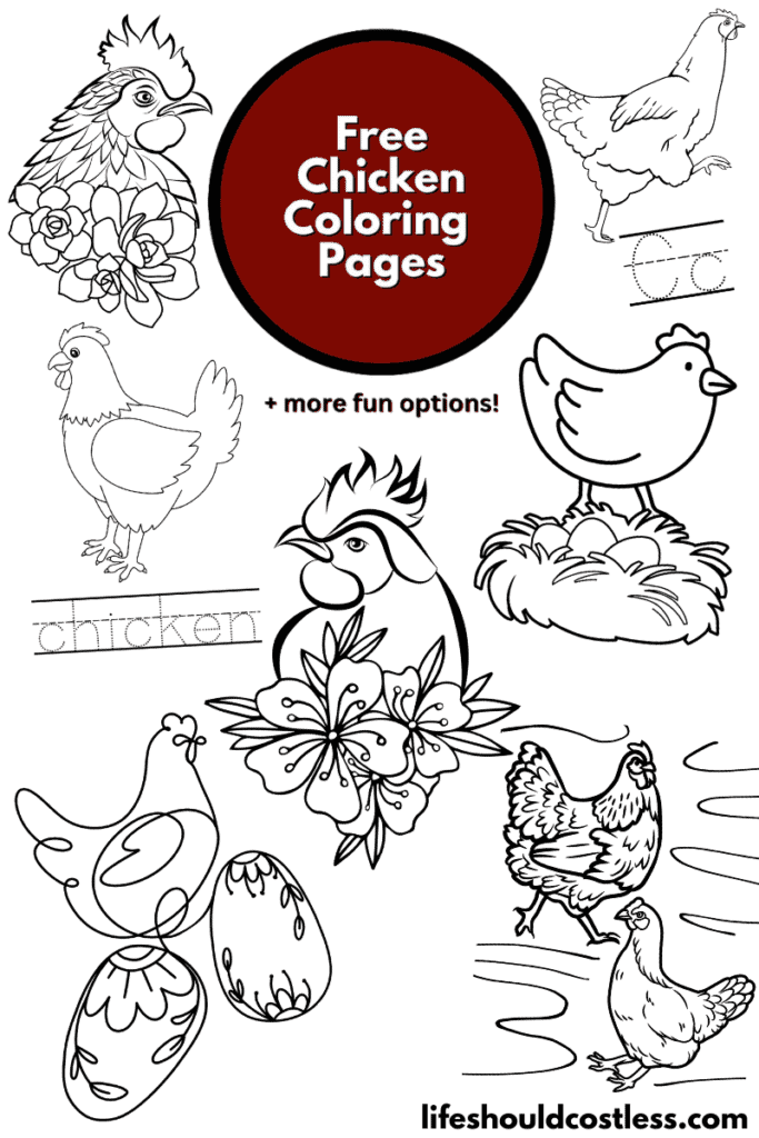 20 Zebra Coloring Pages (Free PDF Printables)