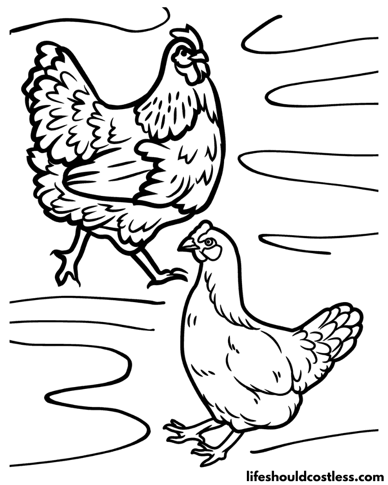 Coloring Page Of Chicken Example