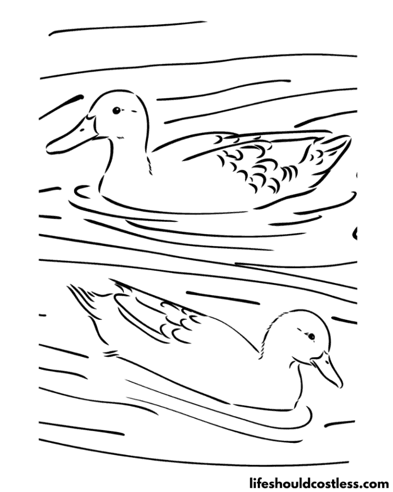 Duck Coloring Pages (free printable PDF templates) - Life Should Cost Less