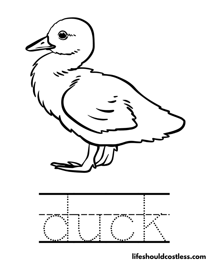 Letter D Is For Duck Worksheet Example