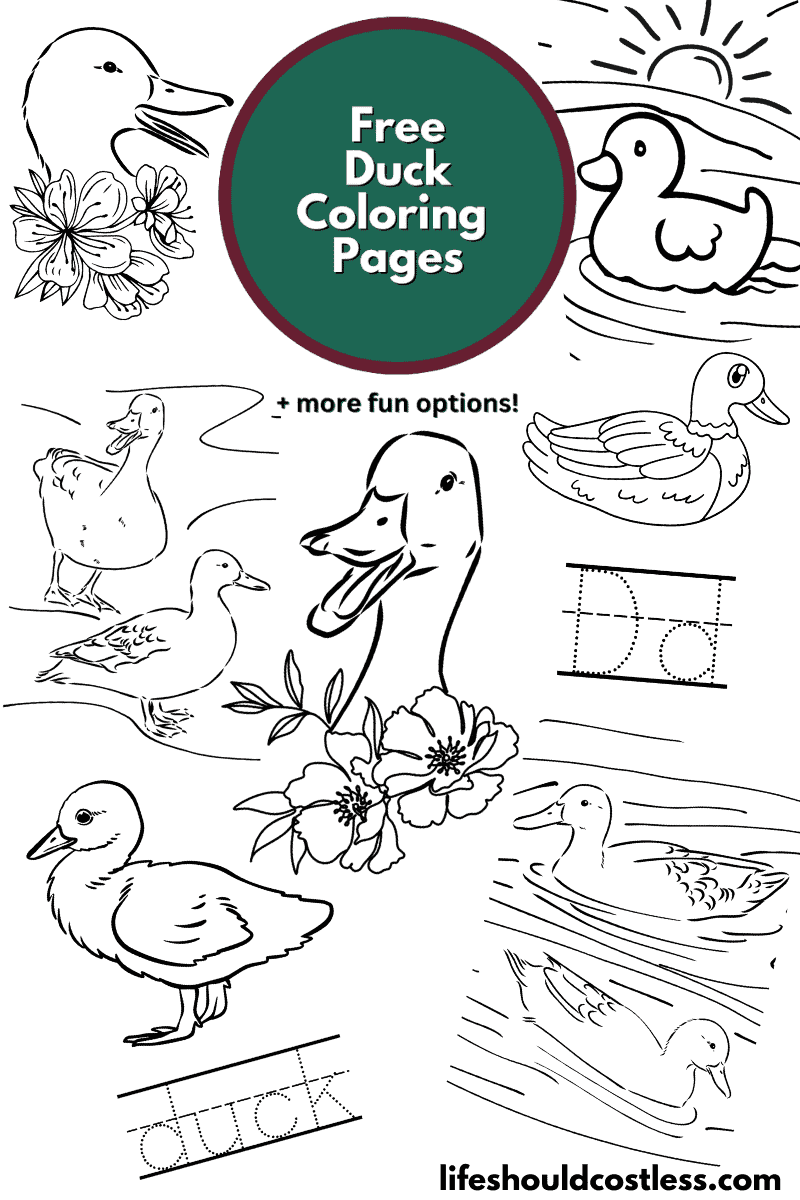 duck coloring page