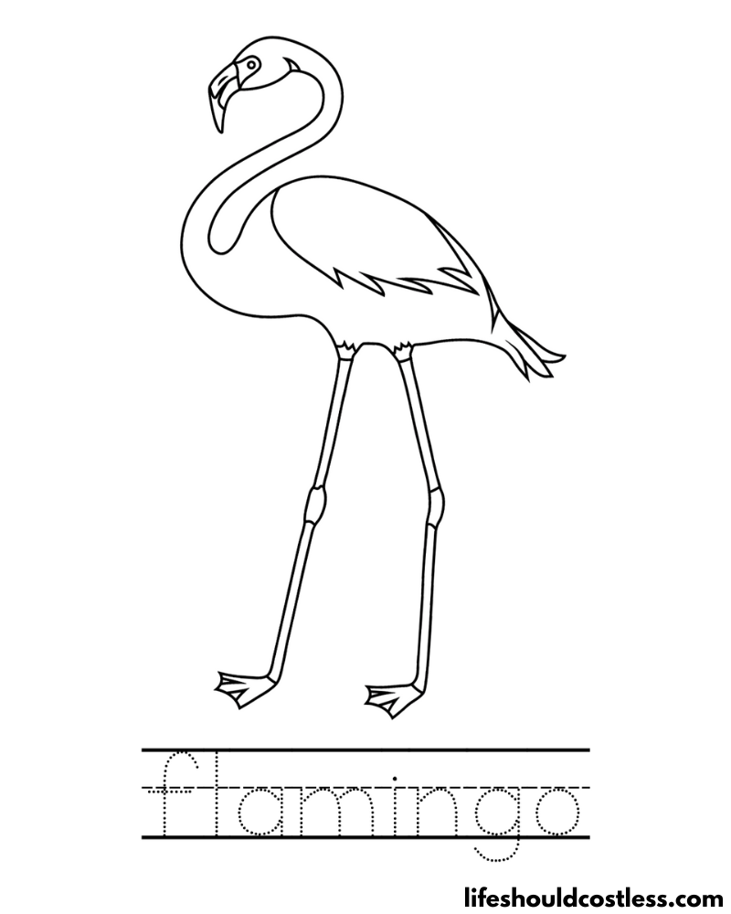 Letter F Is For Flamingo Worksheet Example