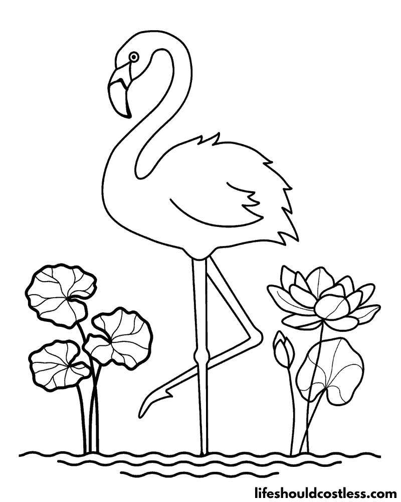 Flamingo Color Page Example