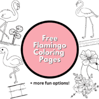Flamingo Color Sheet
