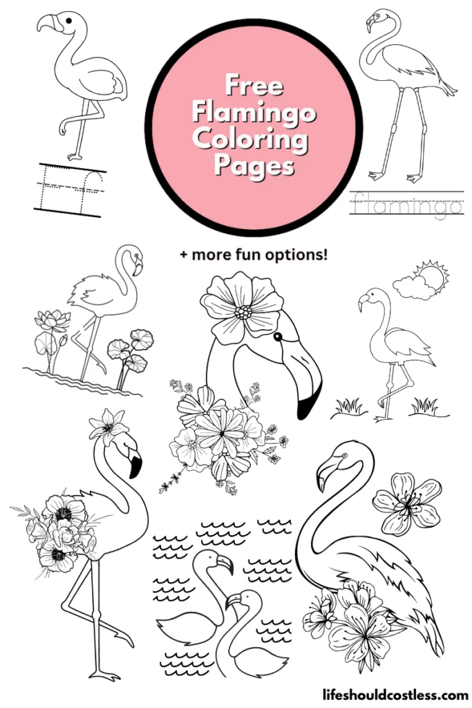 Wolfoo and Friends learn to Stay Healthy Coloring Pages - Free Printable  Coloring Pages