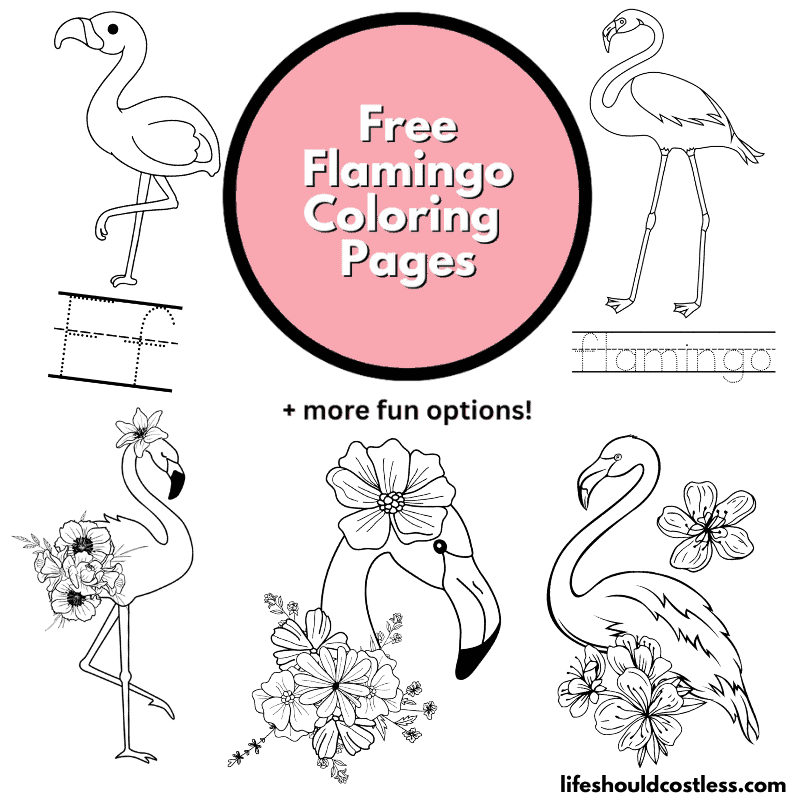 Flamingo Coloring Sheet