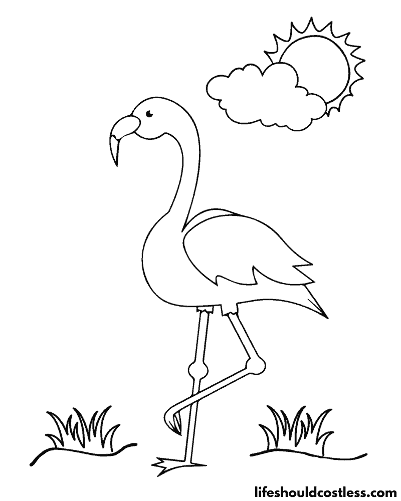 Flamingo Coloring Sheets Example