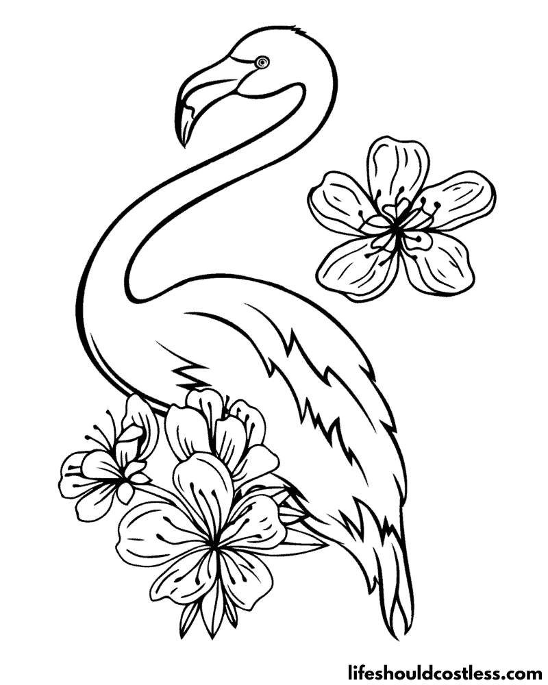 Floral Flamingo Colouring Pages Example
