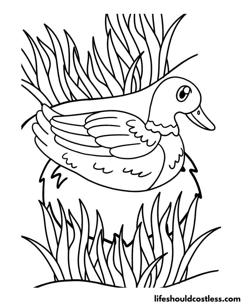 Nesting Duck Colouring Page Example