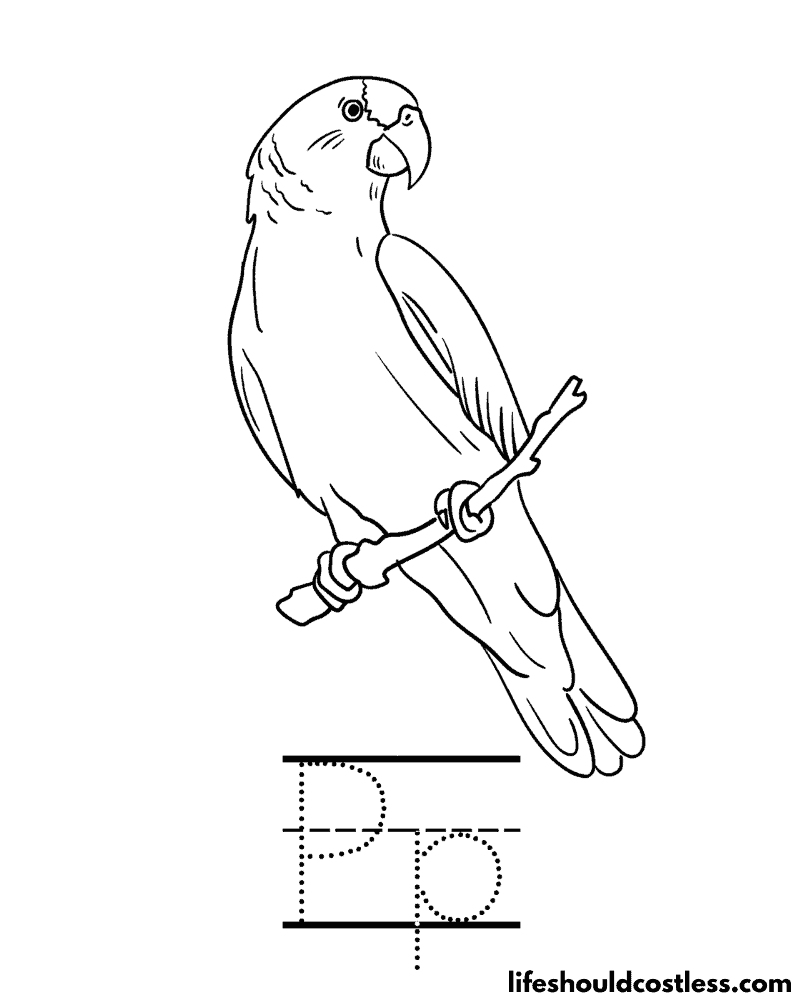 Letter P Is For Parrot Coloring Page Example