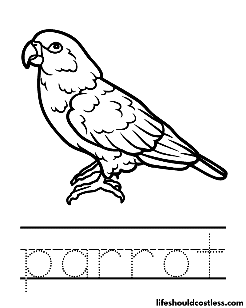 Letter P Is For Parrot Worksheet Example