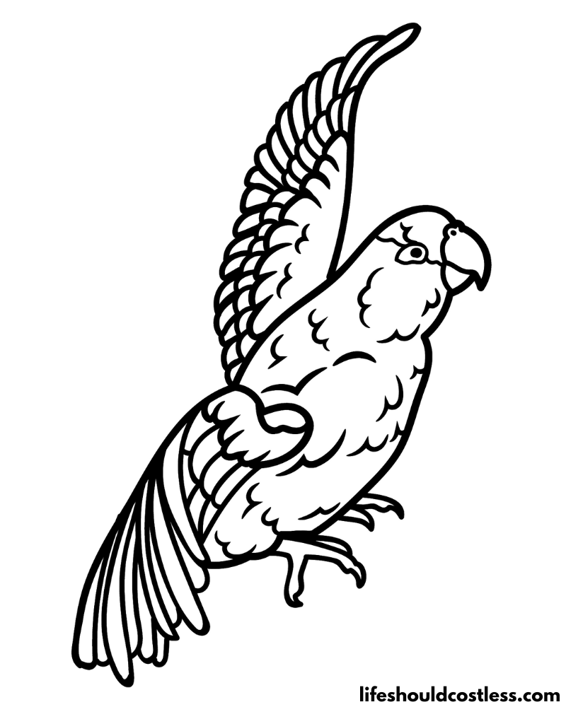Parrot Colouring In Example