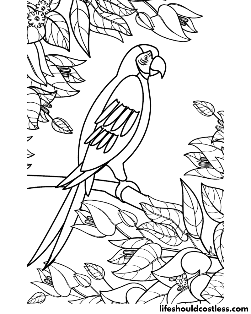 Parrot For Coloring Example