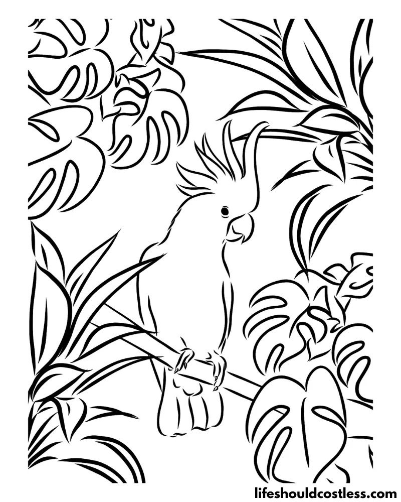 Realistic Parrot Coloring Page Example