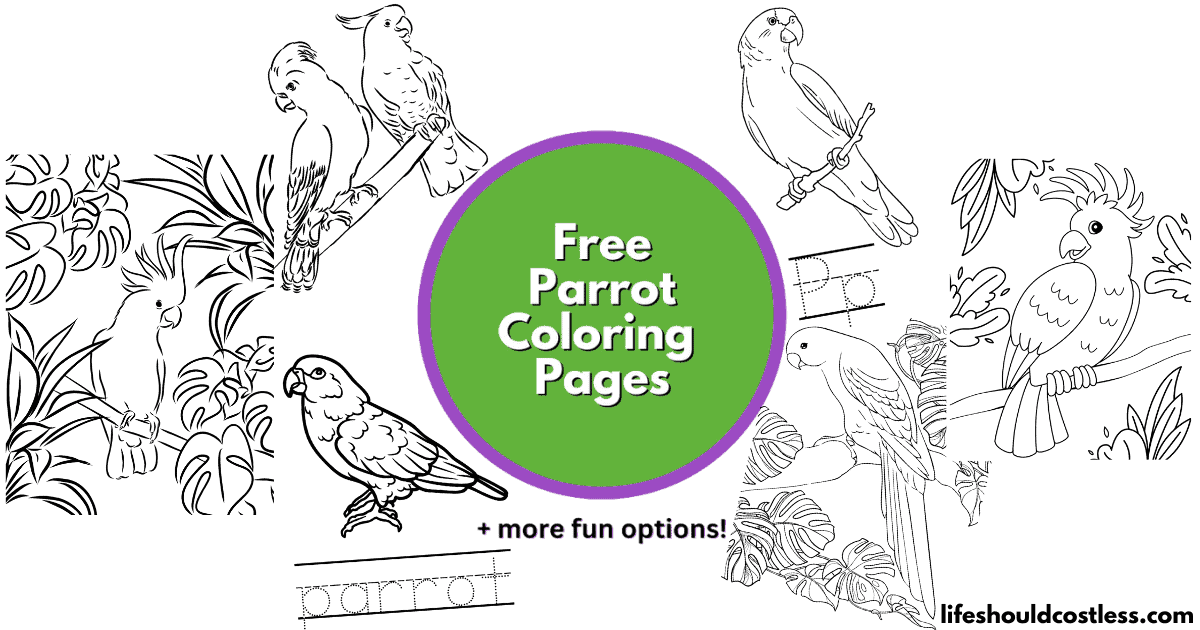 Scarlet Macaw Coloring Page with Fun Fact {FREE Printable Download!} – The  Art Kit