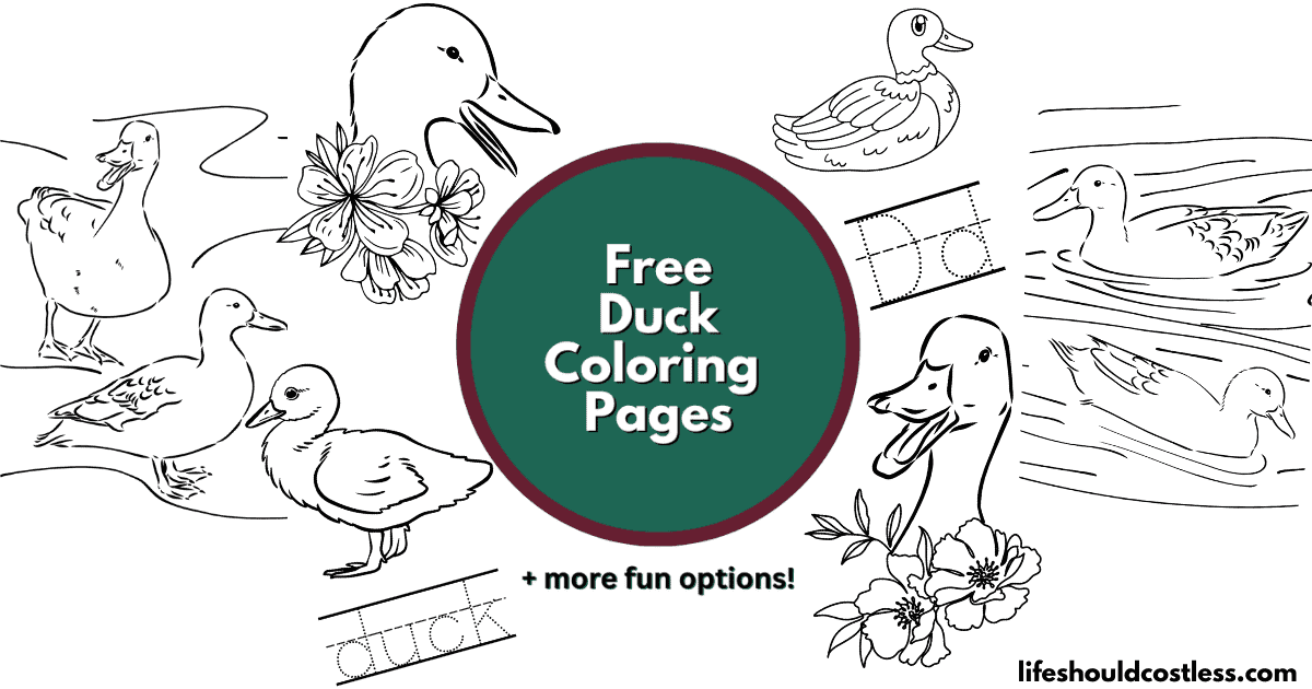 little quack coloring pages