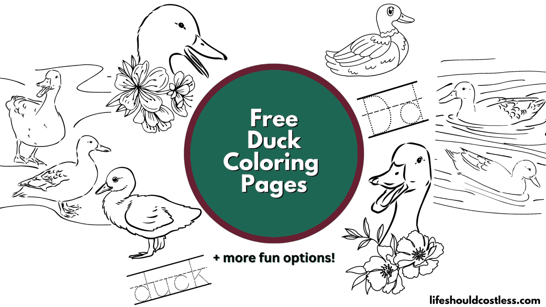 Free Duck Colour-Ins (Colorings)