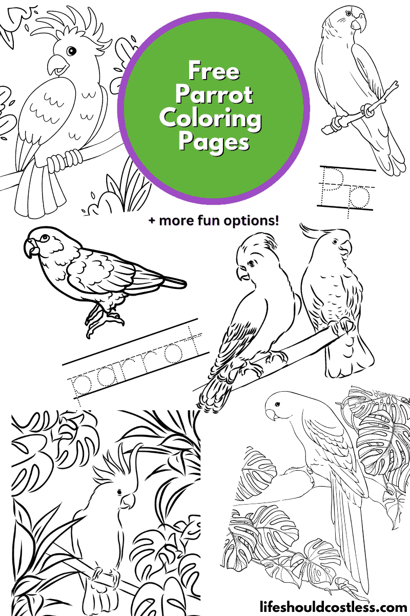 Parrot Coloring Pages (free printable PDF templates) - Life Should Cost ...