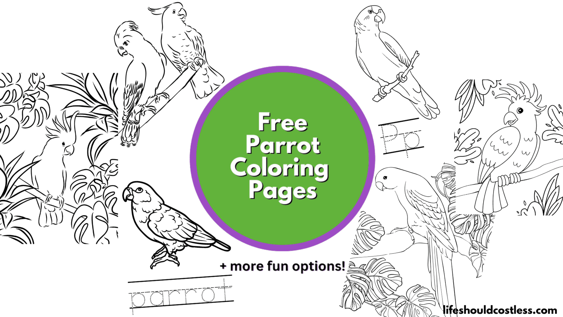 Scarlet Macaw Coloring Page with Fun Fact {FREE Printable Download