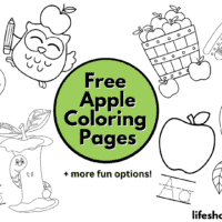 Apples Coloring Page