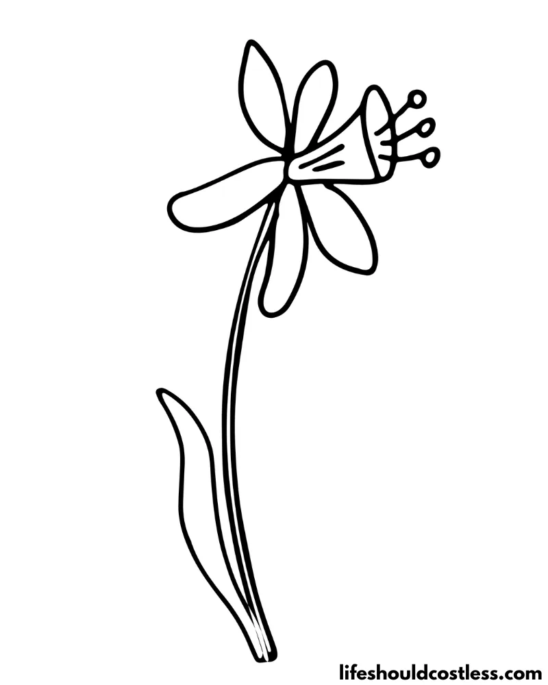 Cartoon Daffodil Colouring Page Example