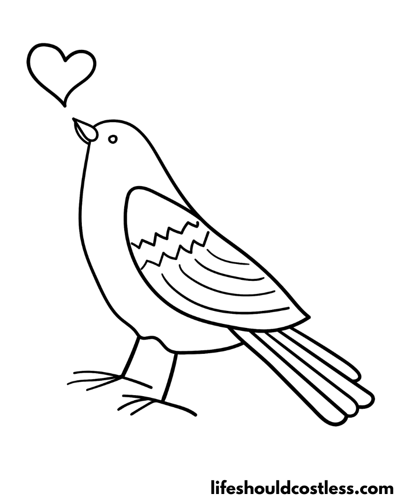 Color Page Bird Example