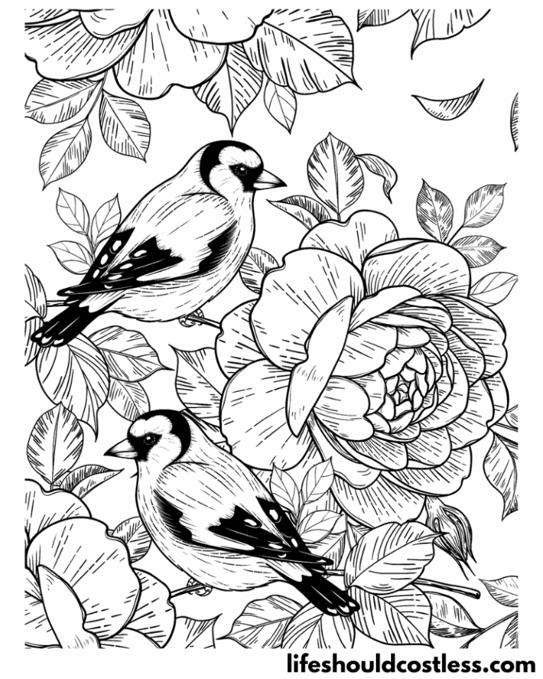 Bird Coloring Pages (free printable PDF templates) - Life Should Cost Less
