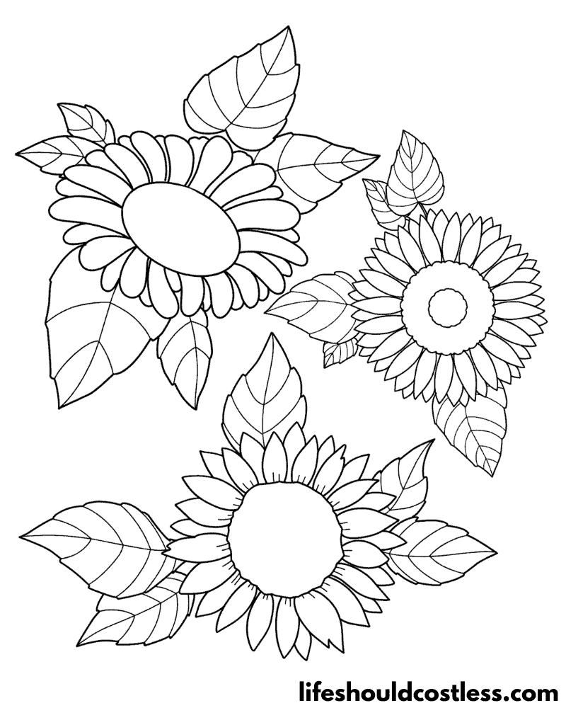 Coloring Page Sunflower Example