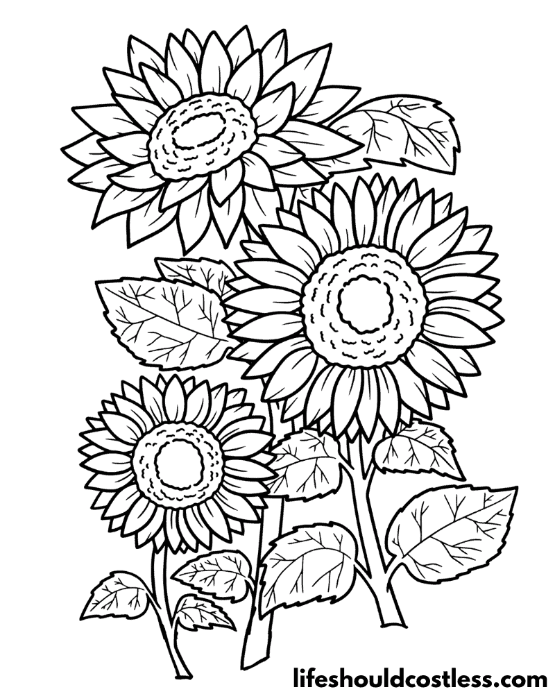 Sunflower Coloring Pages (free printable PDF templates) - Life Should ...