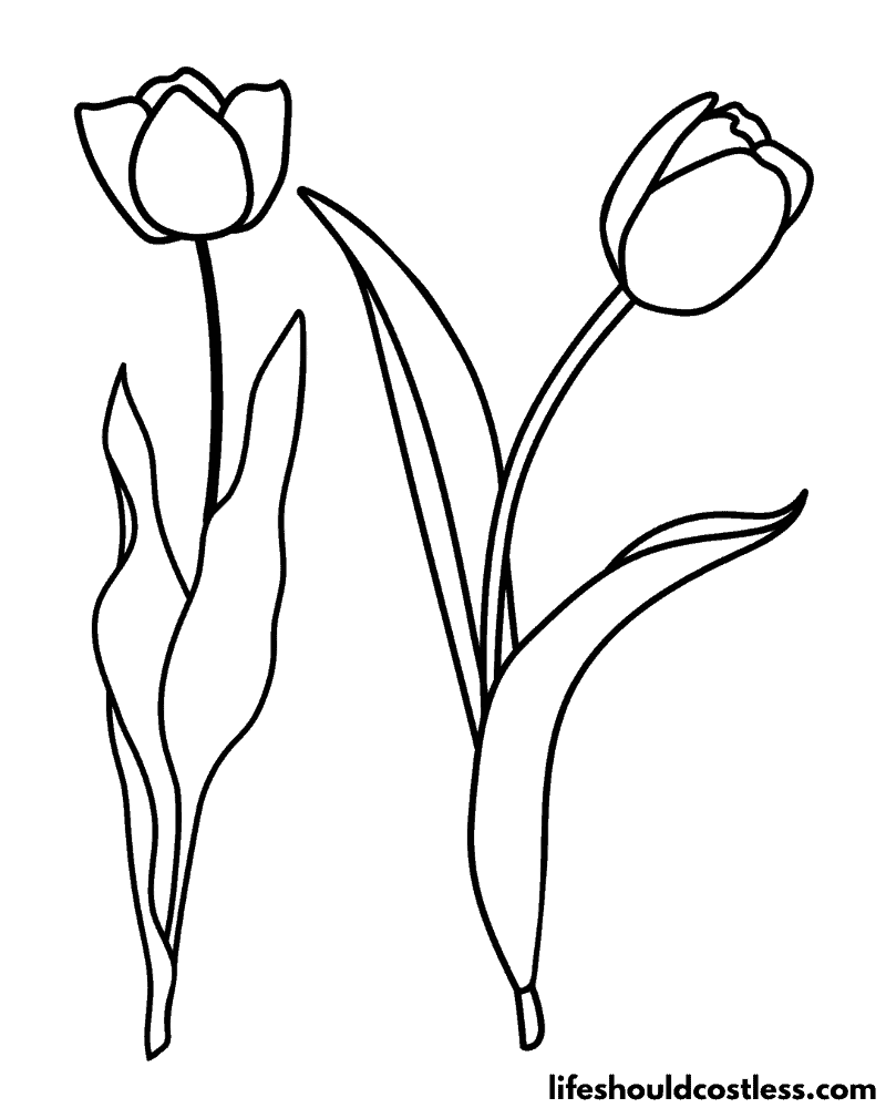 Coloring Pages Of Tulips Example