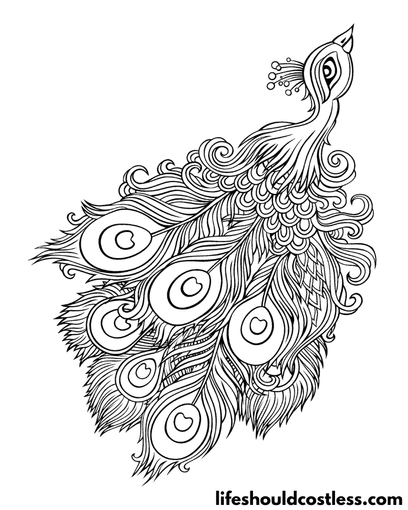 Coloring Pages Peacock Example