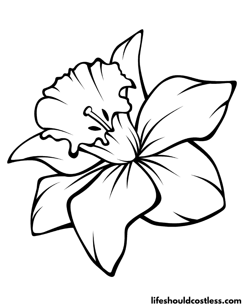 Coloring Sheet Daffodil Example