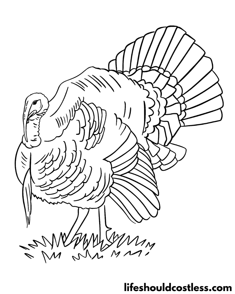 Colouring Page Turkey Example