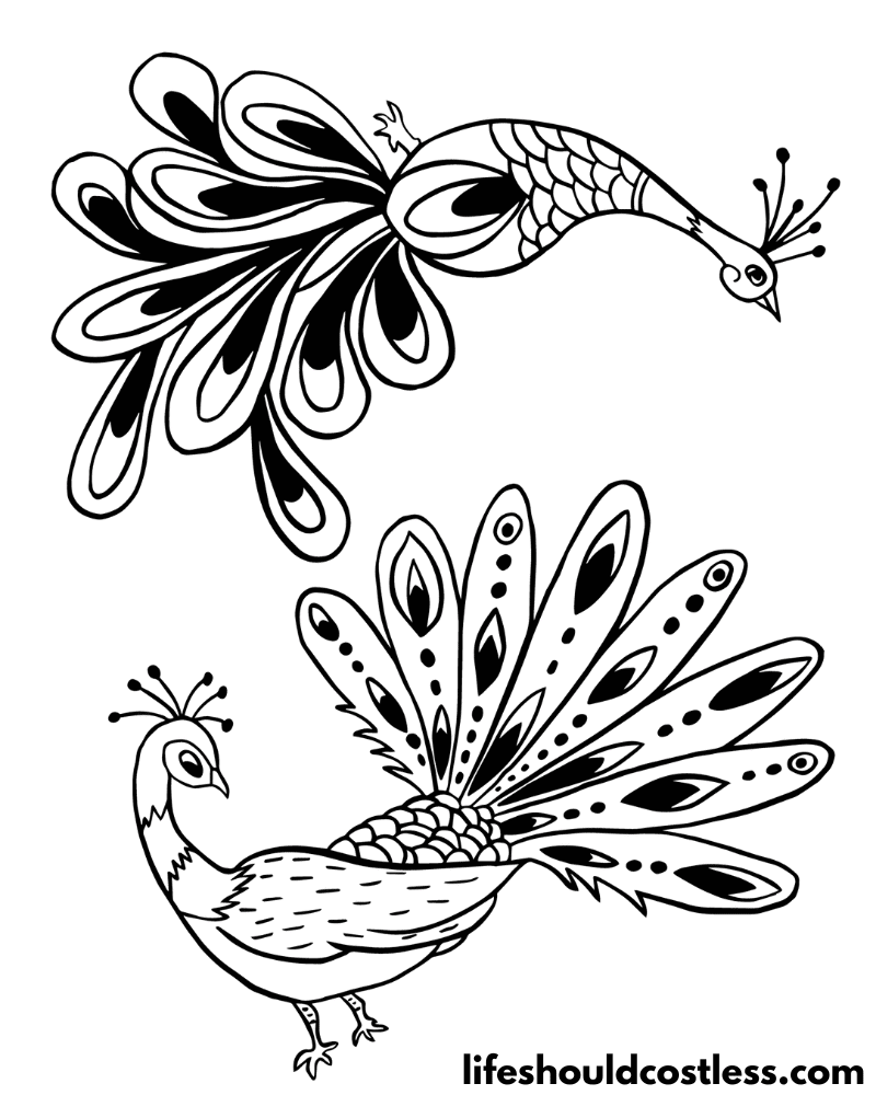 Colouring Pages Peacock Example