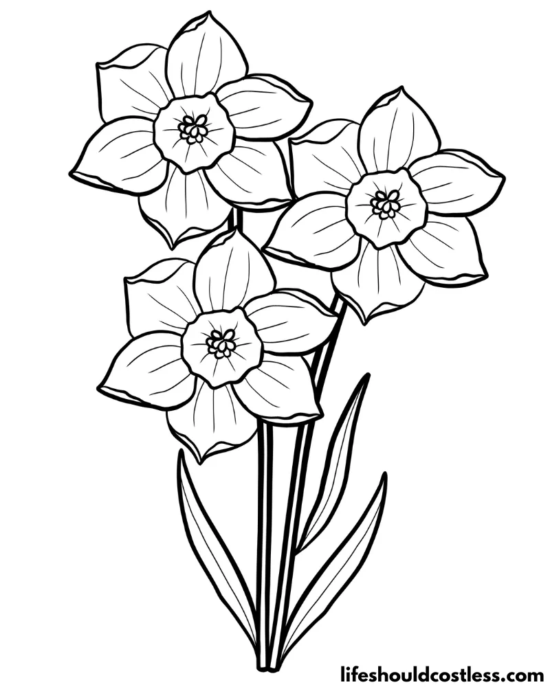 Daffodil Color In Page Example