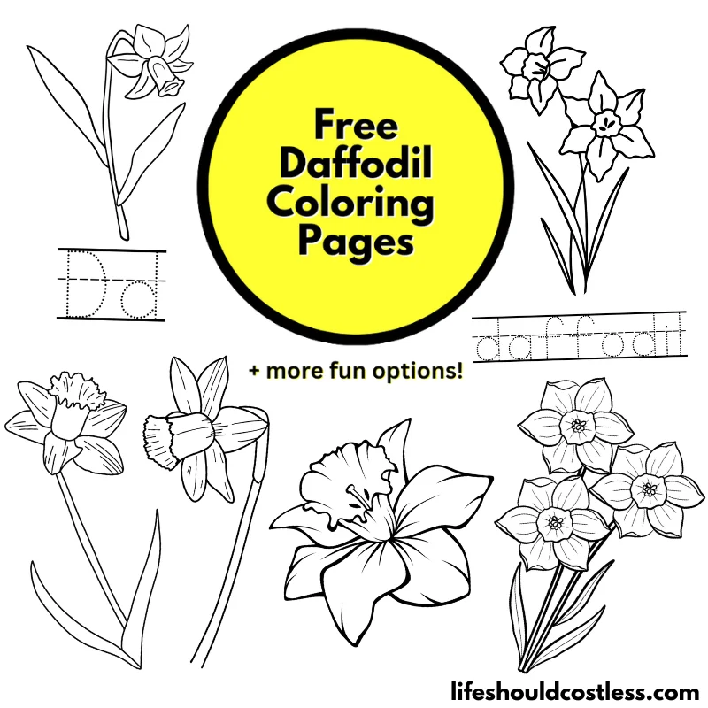 Daffodil Coloring Sheet