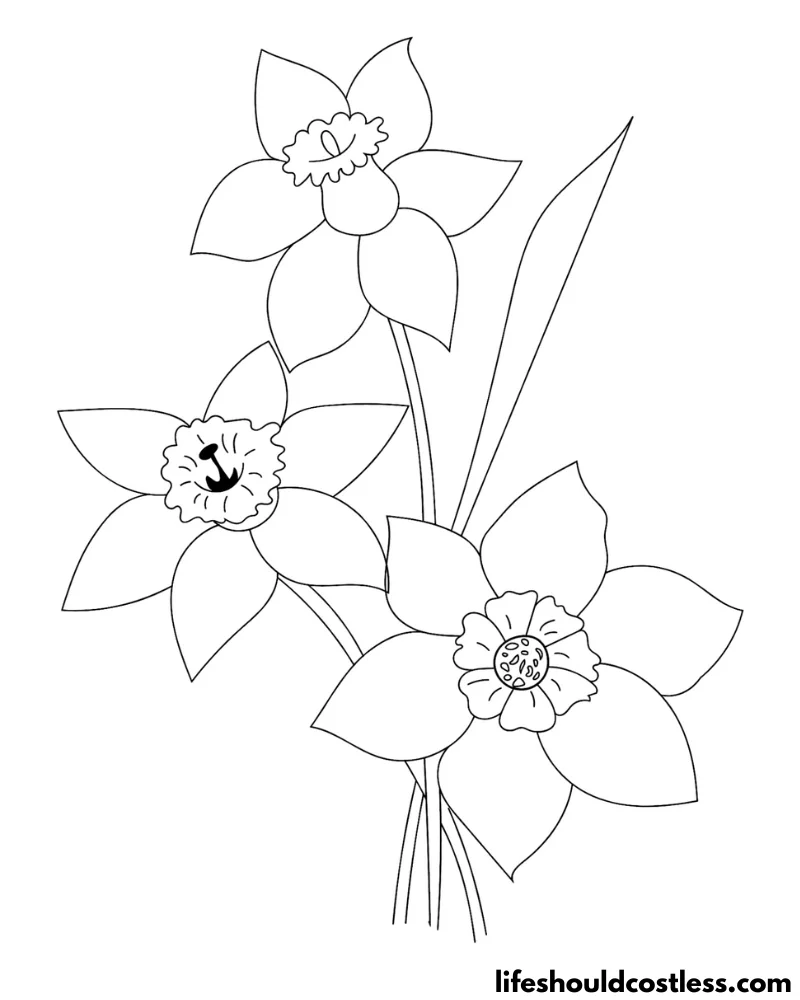 Daffodils Color In Pages Example