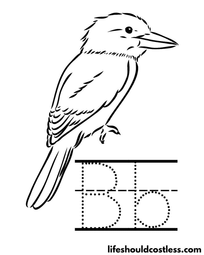 Letter B Is For Bird Coloring Page Example