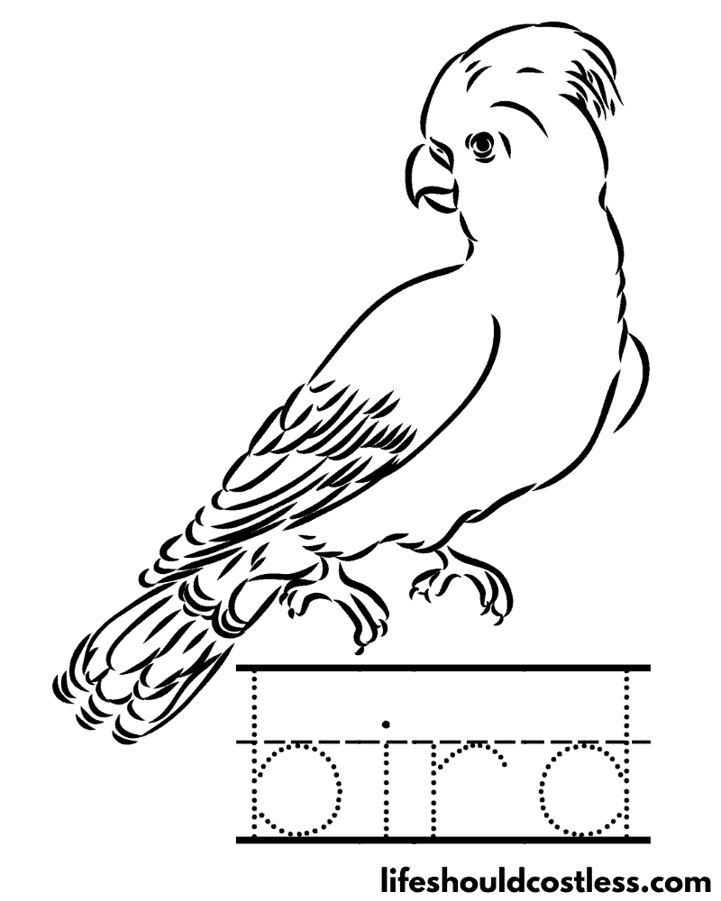 Letter B Is For Bird Worksheet Example