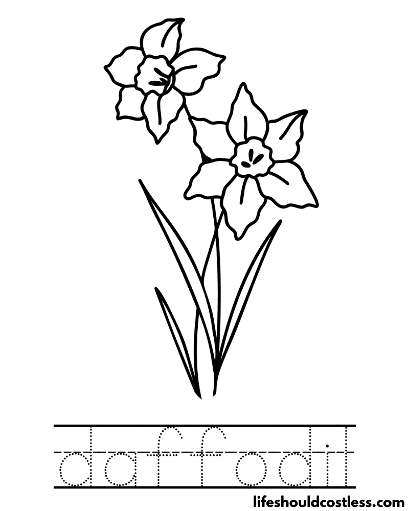 Letter D Is For Daffodil Coloring Page Example